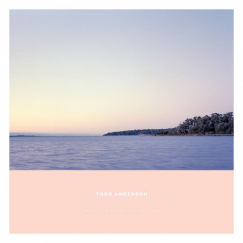 Todd Anderson - Die Stille Schreit Nicht Mehr (2016) Album Info