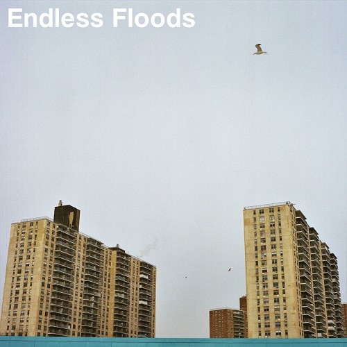 Endless Floods - II (2017) Album Info