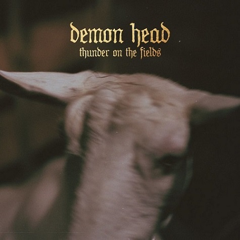 Demon Head - Thunder on the Fields (2017) Album Info