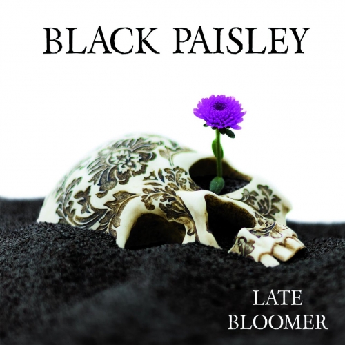 Black Paisley - Late Bloomer (2017) Album Info