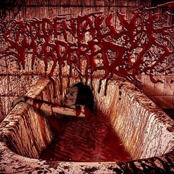 Accidentally Murdered - Bloodville (2017) Album Info