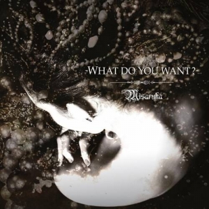 Misaruka - What Do You Want? (2017) Album Info