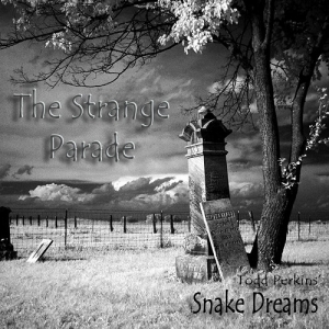 Todd Perkins' Snake Dreams - The Strange Parade (2017) Album Info