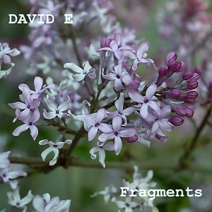 David E - Fragments (2017) Album Info