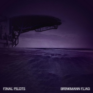 Final Pilots - Brinkmann Flag (2017) Album Info
