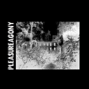 Pleasureagony - Pleasureagony (2017) Album Info