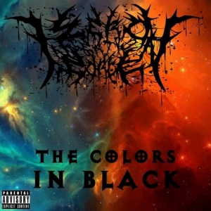 Zero Insertion Force - The Colors in Black (2017) Album Info