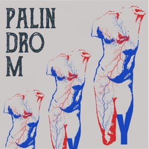 Palindrom - Desert Y (2017) Album Info
