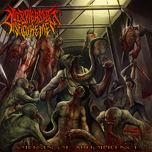Displeased Disfigurement - Origin of Abhorrence (2017) Album Info