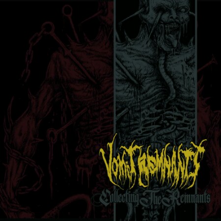 Vomit Remnants - Collecting the Remnants (2017) Album Info