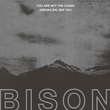 Bison B.C. - You Are Not the Ocean You Are the Patient (2017) Album Info