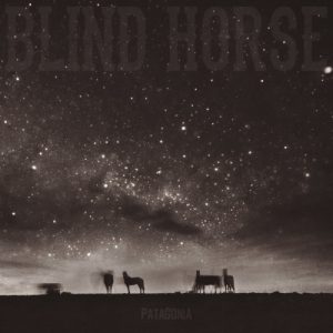Blind Horse  Patagonia (2017) Album Info