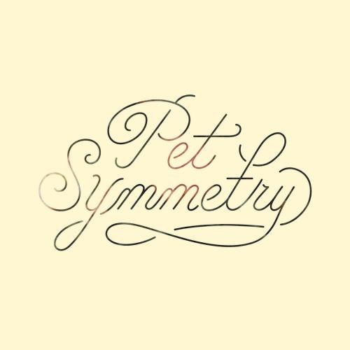 Pet Symmetry - Vision (2017)
