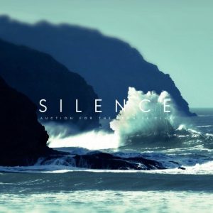 Auction for the Promise Club  Silence (2017) Album Info