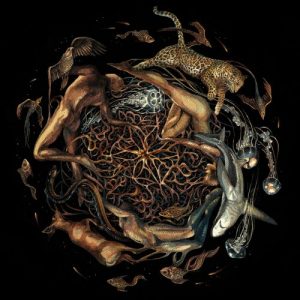 Selcouth  Heart Is The Star Of Chaos (2017) Album Info