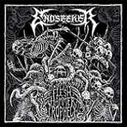Endseeker - Flesh Hammer Prophecy (2017) Album Info