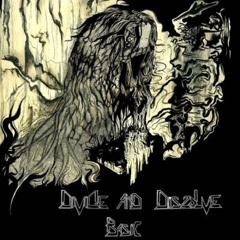 Divide And Dissolve - Basic (2017) Album Info