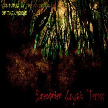 Draconian Cryptic Terror - Consumed by the Mountains of the Undead (2017) Album Info
