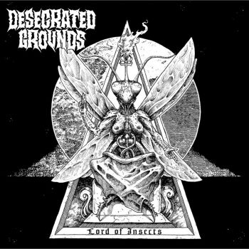 Desecrated Grounds - Lord Of Insects (2017) Album Info