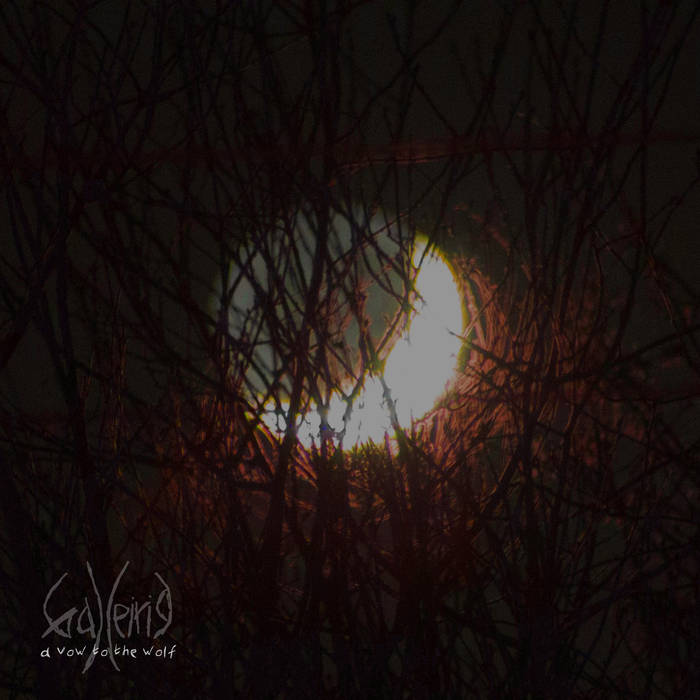 Galleiria - A Vow to the Wolf (2017) Album Info
