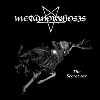 Metamorphosis - The Secret Art (2017) Album Info