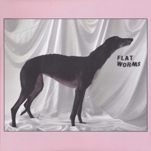 Flat Worms  Flat Worms (2017) Album Info
