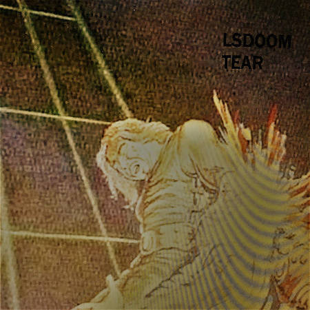LSDoom - Tear (2017) Album Info