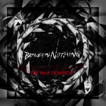 Between Nothing - For Your Enjoyment (2017) Album Info