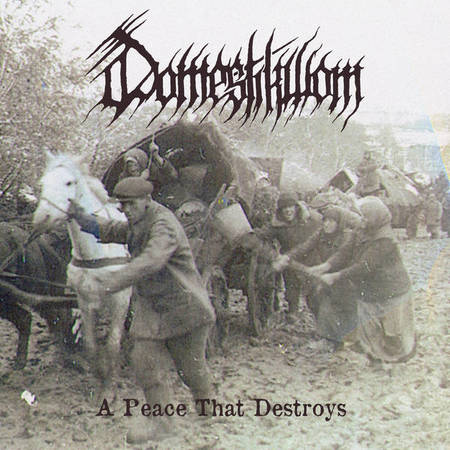 Domestikwom - A Peace That Destroys (2017) Album Info