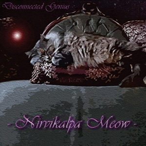 Disconnected Genius  Nirvikalpa Meow (2017) Album Info