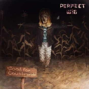 Perfect Wig - Good for Countryside (2017) Album Info