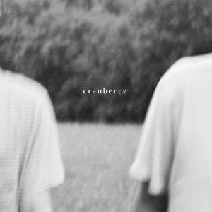 Hovvdy  Cranberry (2018) Album Info