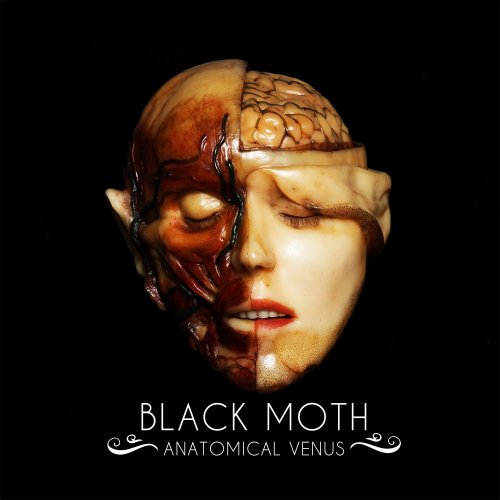 Black Moth - Anatomical Venus (2018) Album Info