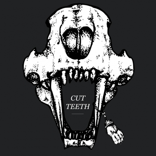 Fortunate Losers - Cut Teeth (2018) Album Info