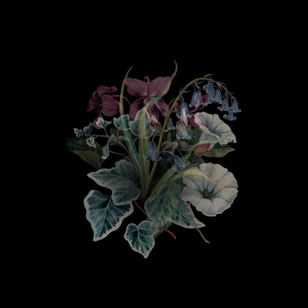 Nhor - Wildflowers (2018)