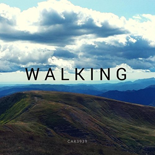 Car3939 - Walking (2018) Album Info