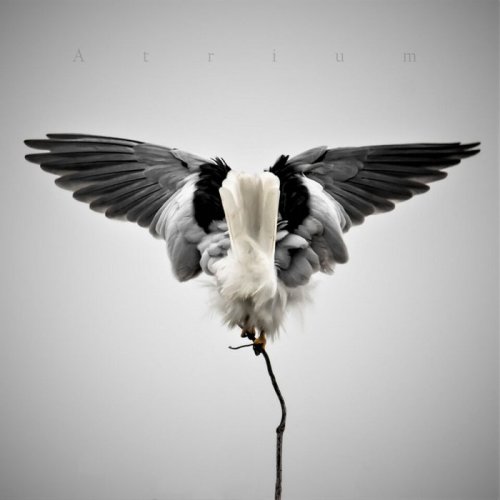 Atrium - Recreate (2018) Album Info