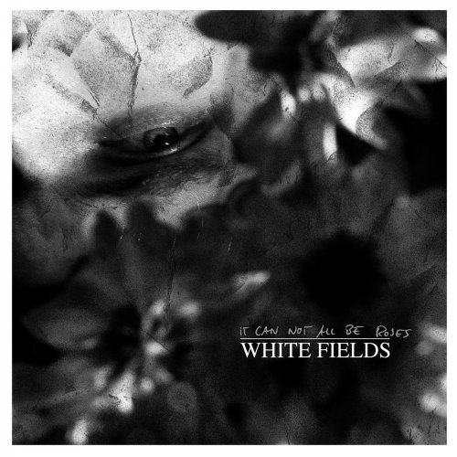 White Fields - It Can Not All Be Roses (2018) Album Info