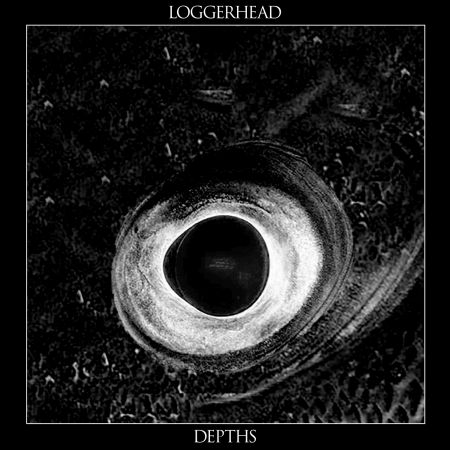 Loggerhead - Depths (2018) Album Info