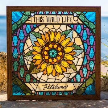 This Wild Life - Petaluma (2018)