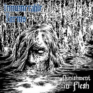 Innumerable Forms - Punishment in Flesh (2018) Album Info
