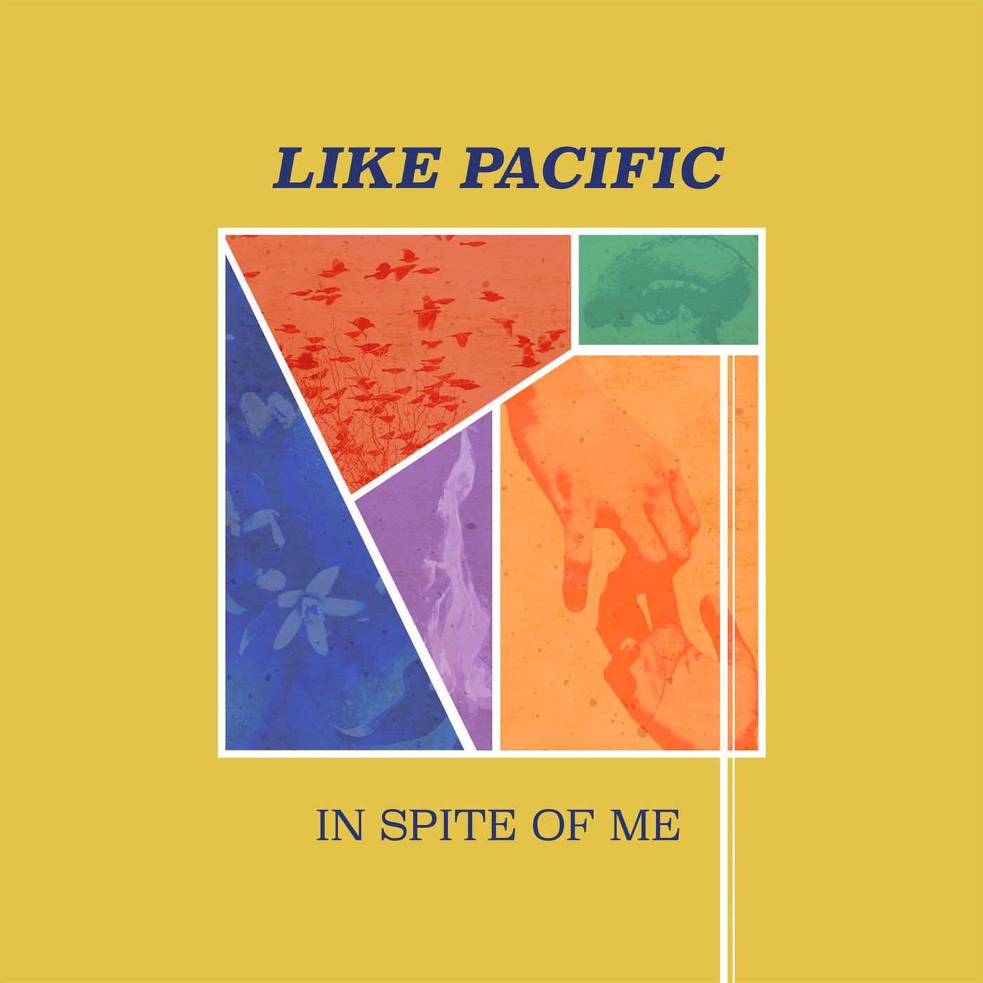 Like Pacific - In Spite Of Me (2018) Album Info
