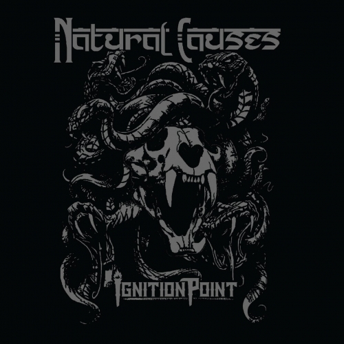 Ignition Point - Natural Causes (2018) Album Info