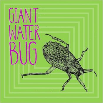 Giant Water Bug - Giant Water Bug (2018) Album Info