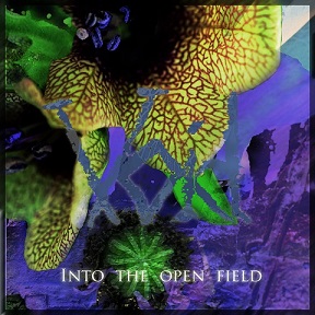Void - Into the Open Field (2018)