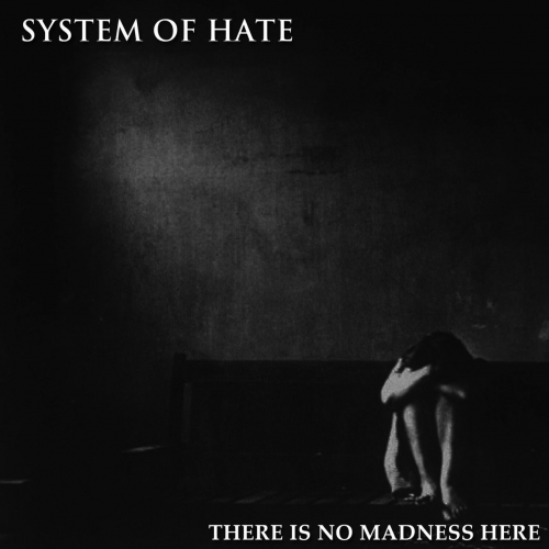System of Hate - There Is No Madness Here (2018)