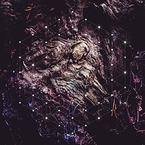 Psychonaut - Unfold the God Man (2018) Album Info
