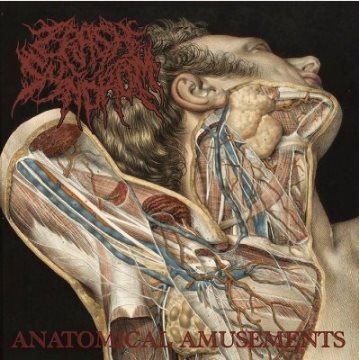 Crash Syndrom - Anatomical Amusements (2018) Album Info