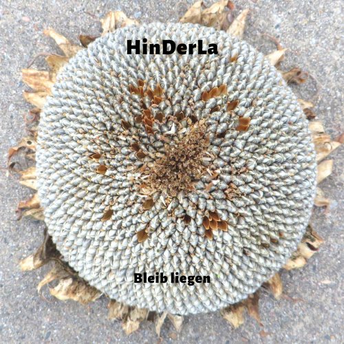 Hinderla - Bleib Liegen (2018) Album Info