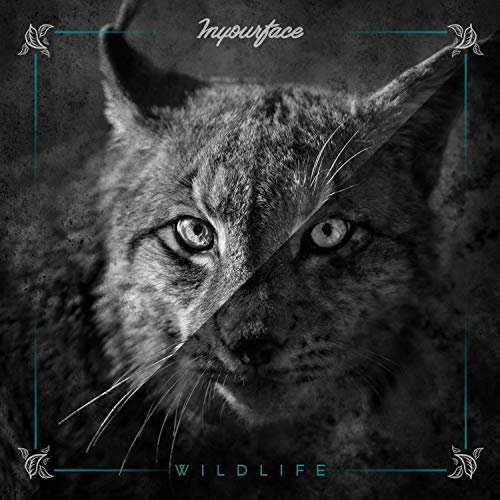 Inyourface - Wildlife (2018) Album Info